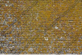 wall bricks overgrown moss 0005